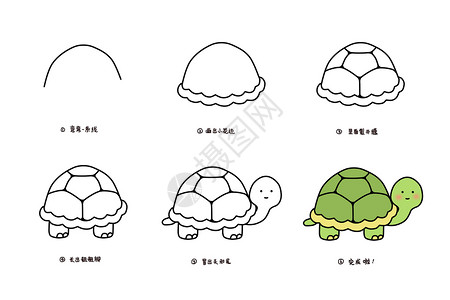 乌龟可爱小乌龟简笔画教程插画