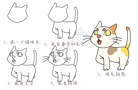 宠物点猫咪简笔画教程插画