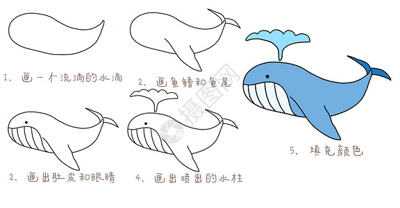 鲸鱼简笔画教程图片