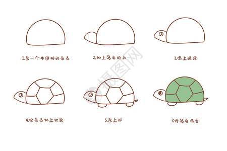 乌龟简笔画步骤高清图片