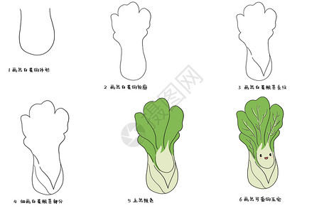 白菜简笔画图片