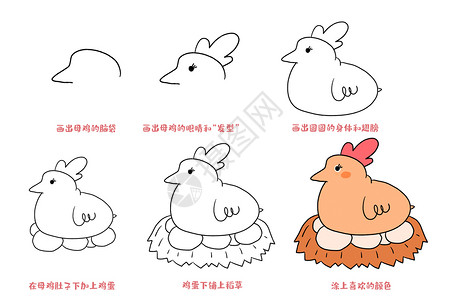 鸡孵蛋母鸡简笔画教程插画