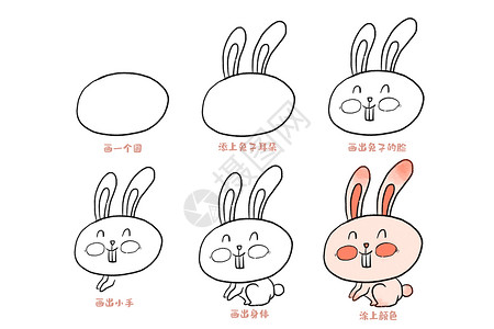 兔子简笔画教程高清图片
