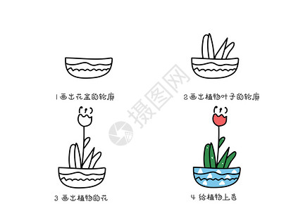 小花植物简笔画教程图片