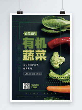 免配送费有机蔬菜促销海报模板