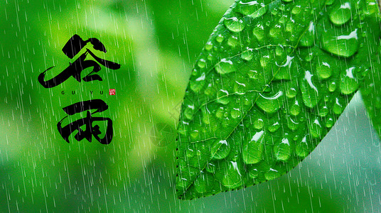 雨滴植物谷雨节气设计图片