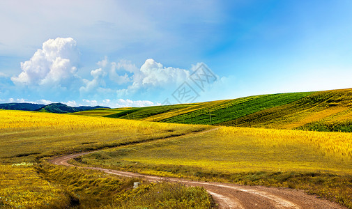 雪山草原风光美丽的乡村道路设计图片