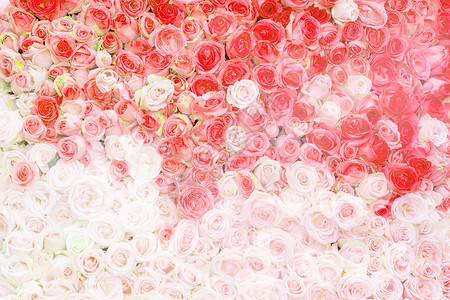 鲜花场景图婚礼花束浪漫鲜花墙背景设计图片