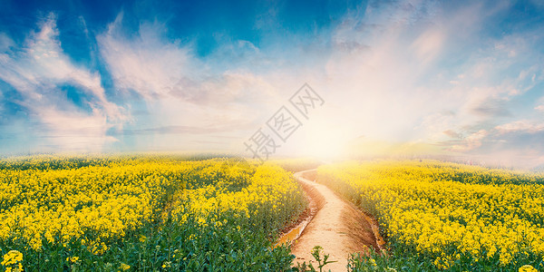 乡村公路背景小路高清图片素材