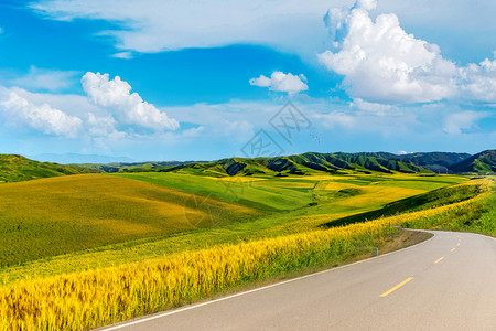 田园风景油画公路背景设计图片