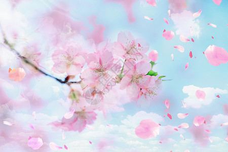 樱花粉色浪漫浪漫樱花设计图片