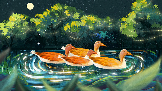 湖草湖水上的鸭子插画