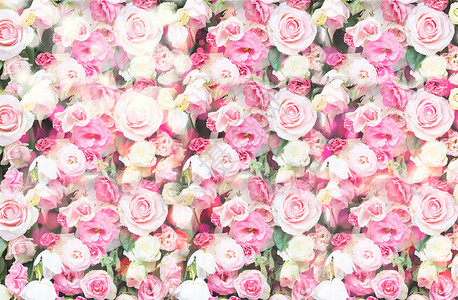 玫瑰花油花墙设计图片