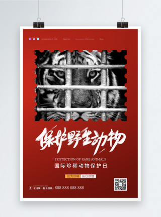 秦岭野生动物园简约国际珍稀动物保护日海报模板