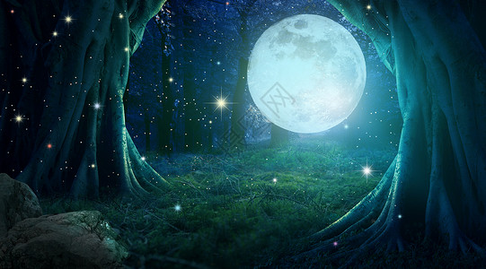 夜间萤火虫梦幻森林背景设计图片