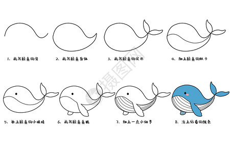 大象简笔画填色鲸鱼简笔画教程图插画