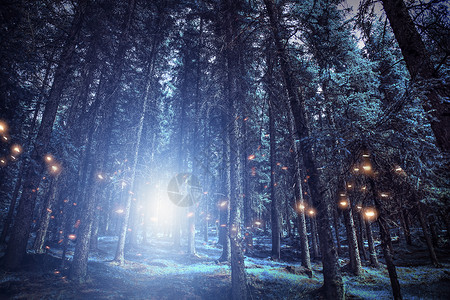 夜晚的森林蓝色梦幻森林设计图片