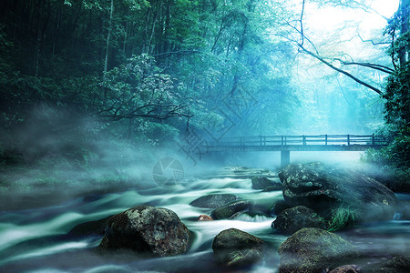 河水风景梦幻森林背景设计图片