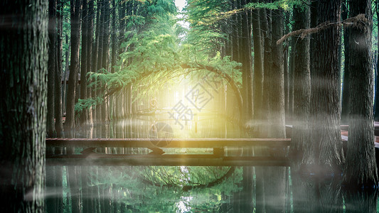 桥与倒影梦幻森林背景设计图片