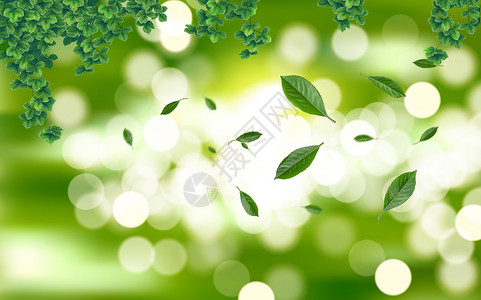 水滴和植物叶子绿色化妆品背景设计图片