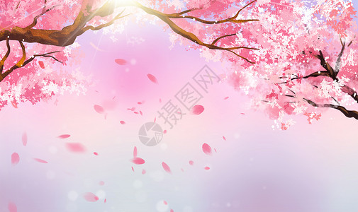 公园里樱花树浪漫樱花设计图片