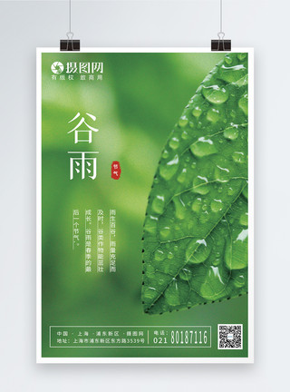 绿色树叶水滴小清新24节气谷雨海报模板