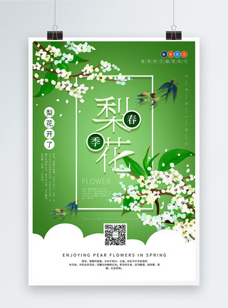 绿色清新梨花开了春季赏花宣传海报模板