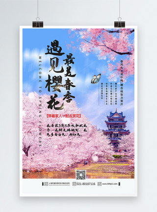 猫咪和樱花春季赏樱花唯美背景海报模板