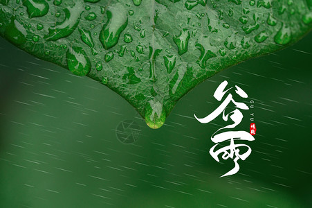 谷雨宣传海报谷雨设计图片
