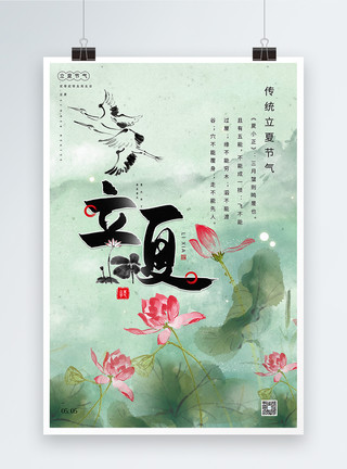 白睡莲清新中国风立夏节气海报模板