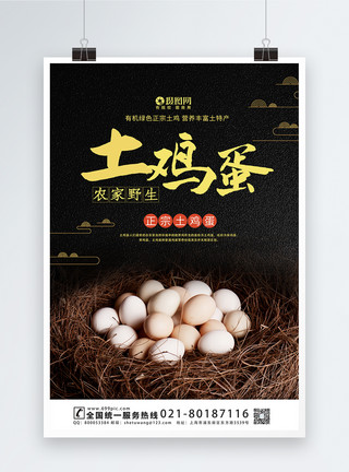 营养鸡蛋大气土鸡蛋宣传海报模板模板