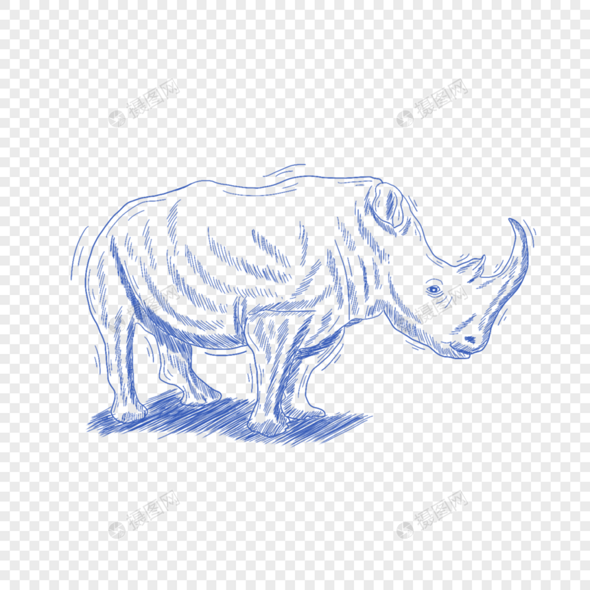 蓝色线条动物简笔画犀牛图片
