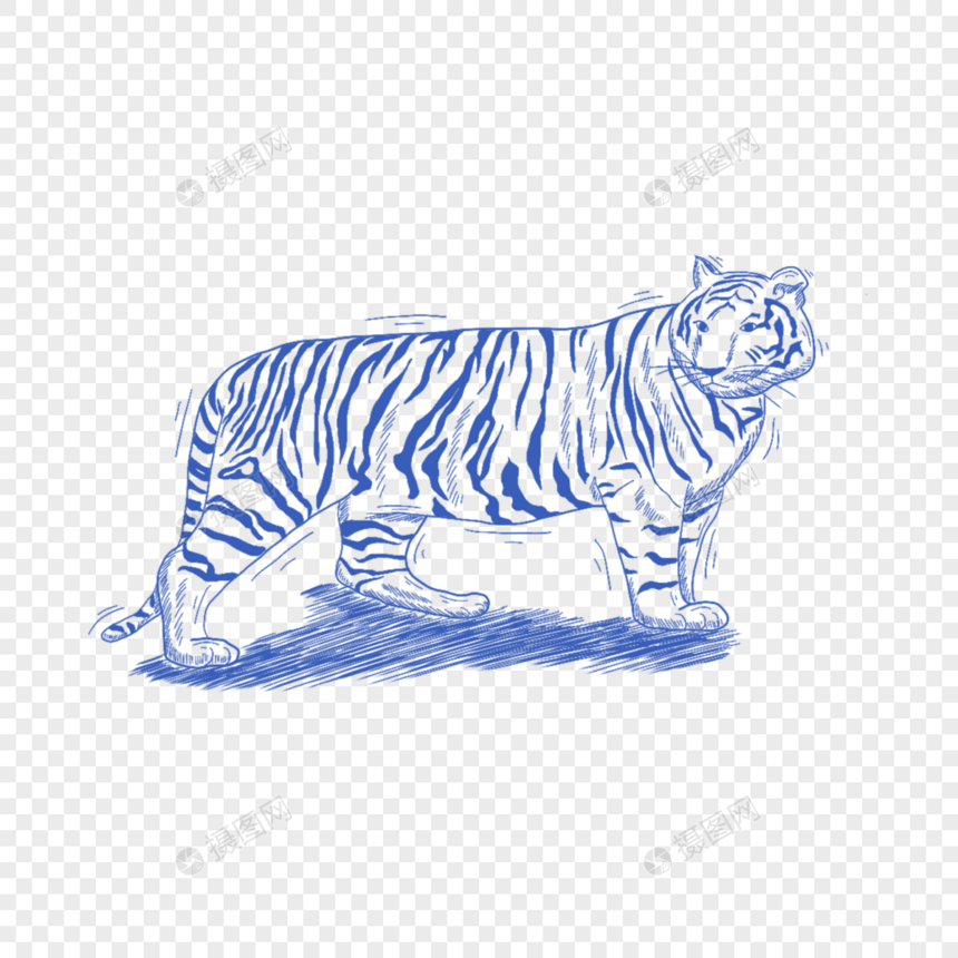 蓝色线条动物简笔画老虎图片