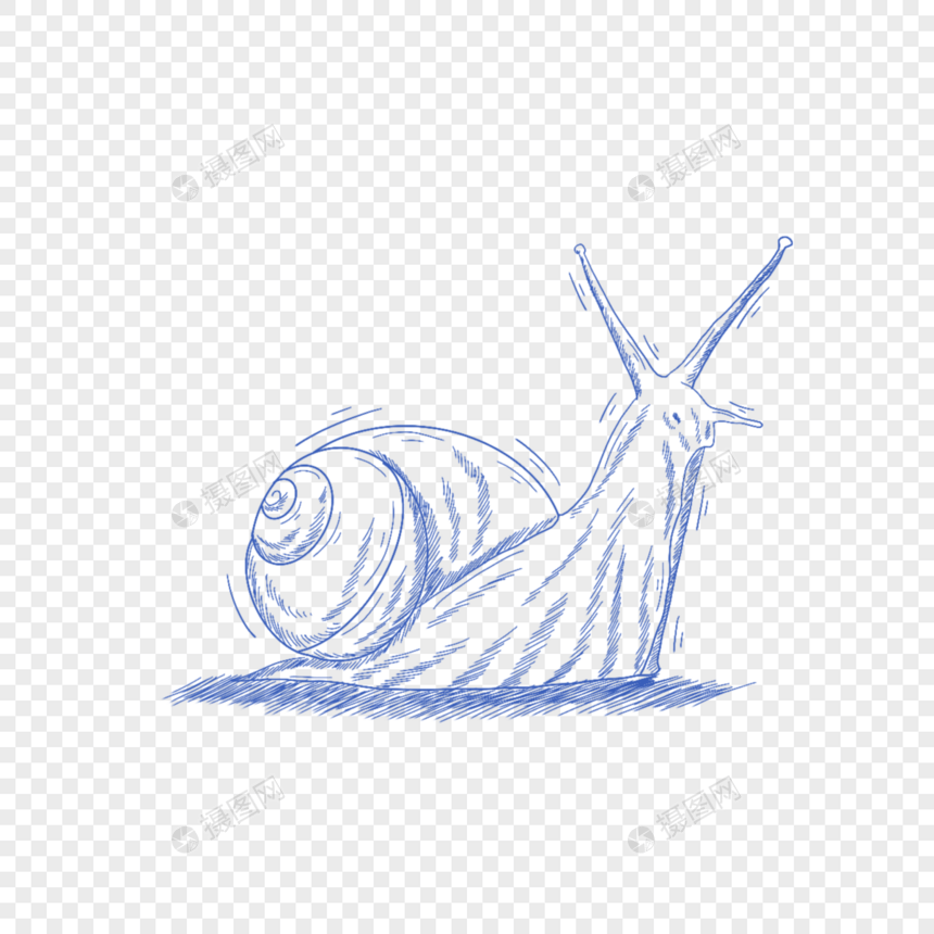 蓝色线条动物简笔画蜗牛图片
