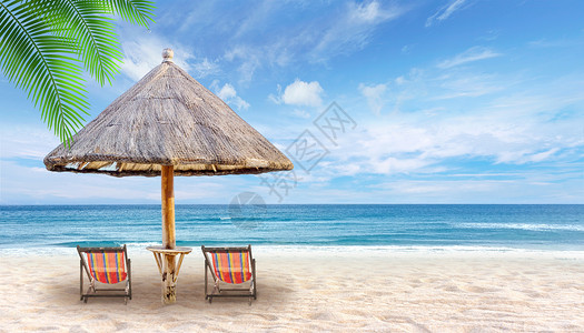 遮阳伞和猫咪海边度假设计图片