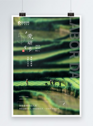 武汉最文艺书店清新文艺绿色耕种劳动节海报模板