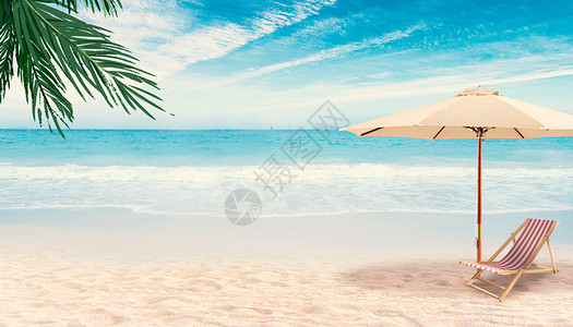 沙滩度假椰树大海沙滩度假背景设计图片