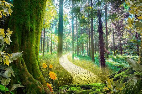 童话里世界梦幻森林设计图片