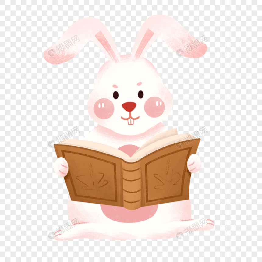 看书的兔子图片