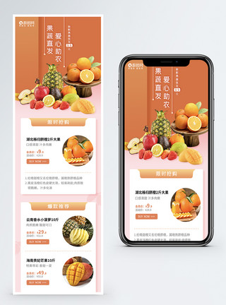 暖心助农新鲜水果促销海报模板