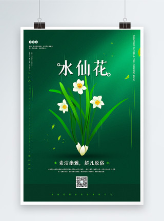 脱俗绿色极简水仙花宣传海报模板
