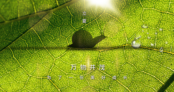 蜗牛与黄鹂鸟二十四节气之立夏设计图片