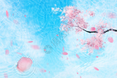 樱花水樱花背景设计图片
