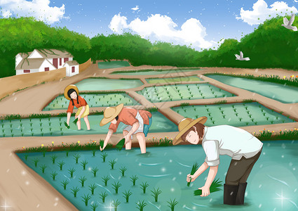 劳动节插秧的农民背景图片