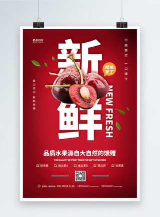 红色樱花枝红色简约新鲜樱桃促销海报模板