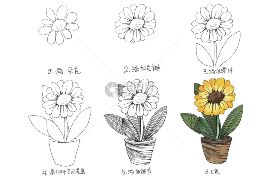 花卉简笔画教程图片