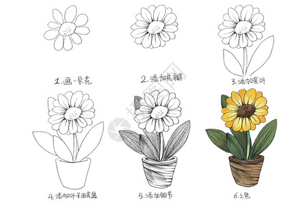 花卉简笔画教程高清图片