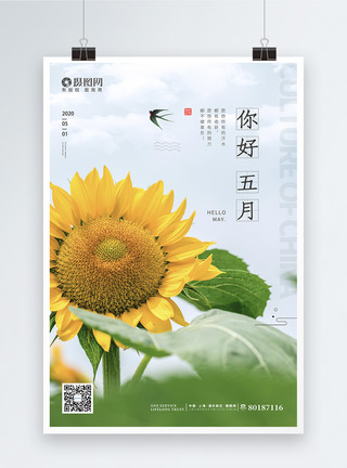 黄色向日葵花朵简约清新向日葵你好五月节日海报模板