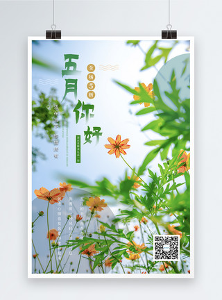 花和草清新文艺花丛你好五月海报模板