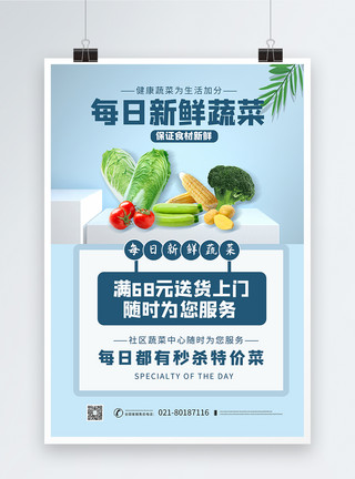 蔬菜种植中心每日新鲜蔬菜推广海报模板